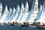 Cats lined up for racing